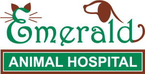 2011-07_Emerald_2C-logo
