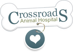 CrossroadsAnimalHospital