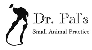 Doctor Pal's Logo