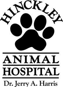 HinckleyAnimalHosp-JF