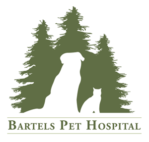 BartelsPetHospital